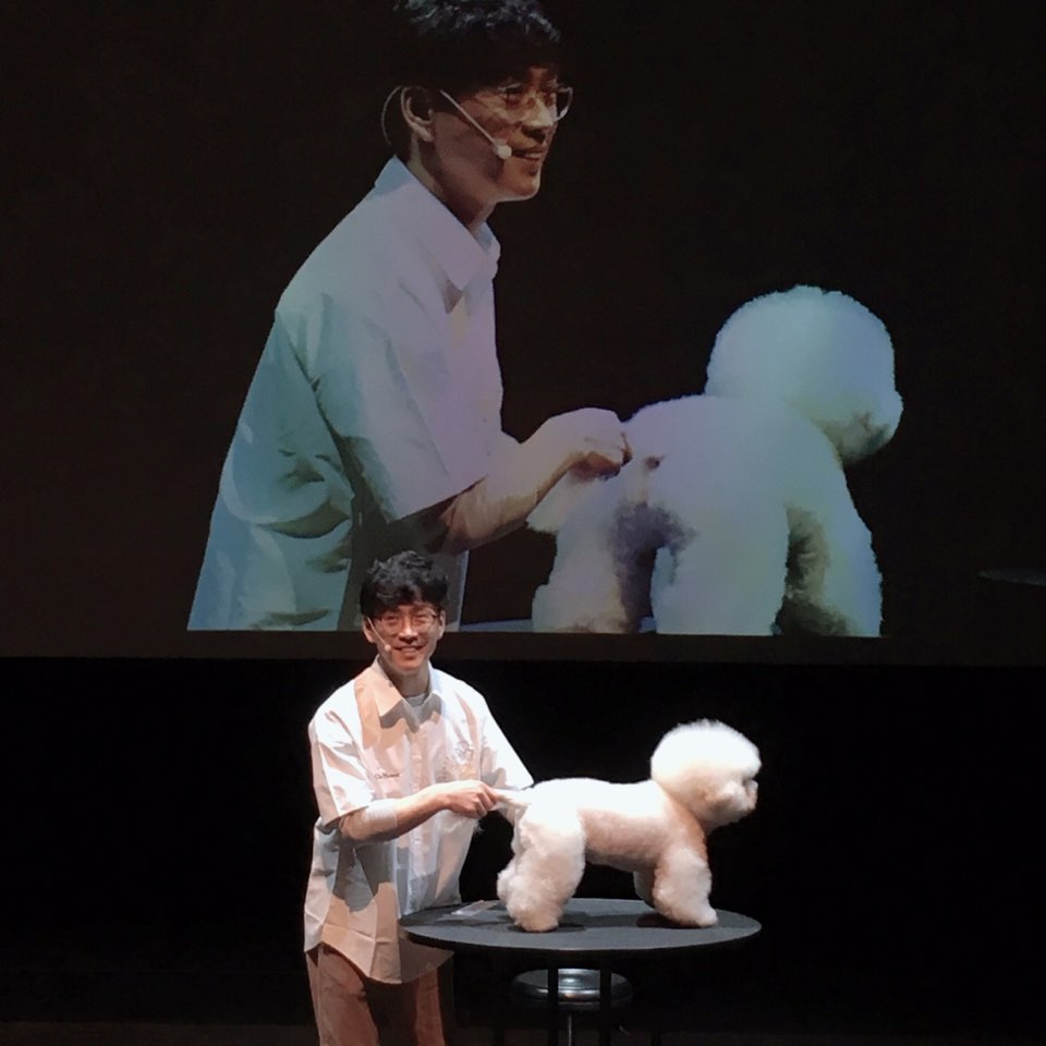 애견미용 교육 및 시연